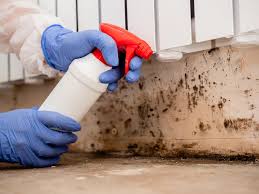 Mold Documentation for Insurance Claims in Scotts Valley, CA